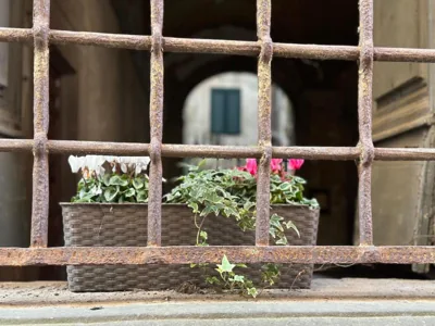 In Centro Lovely Home – Foto 11